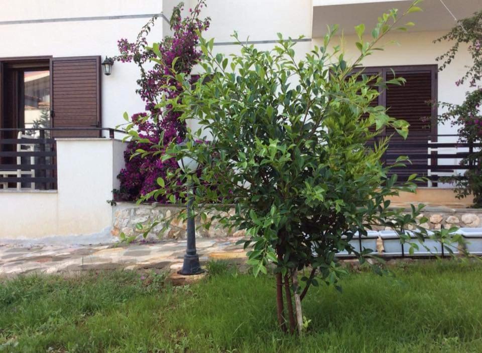 Hotel Natali Dhermi Luaran gambar